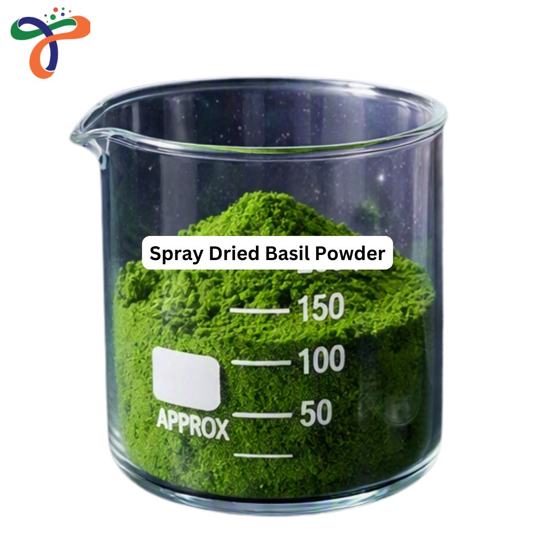 Spray Dried Basil Powder
